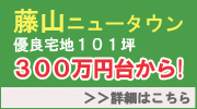 fuji_b