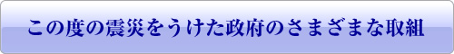 この度の震災をうけた政府のさまざまな取組 