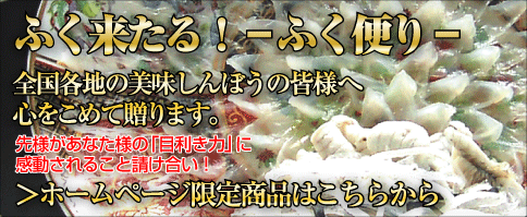 新年