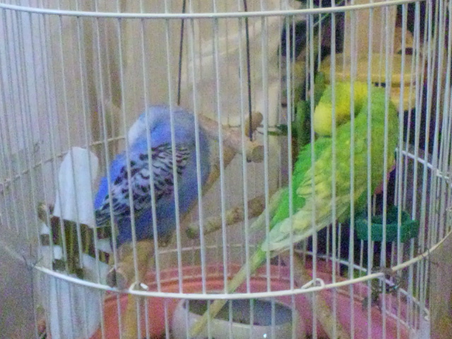 (無題)
