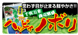 ハッピィノボリ