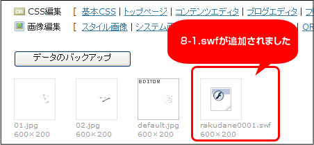 flash_8_1