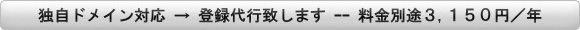 独自ドメインボタン