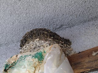 ツバメの巣（増築）
