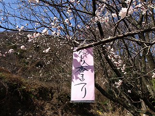 2010杏まつり01