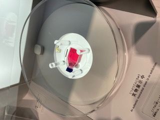 心筋シート