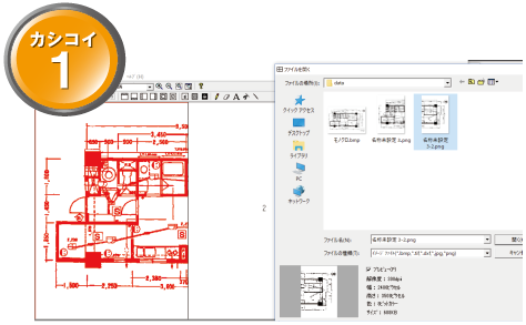カシコイ1