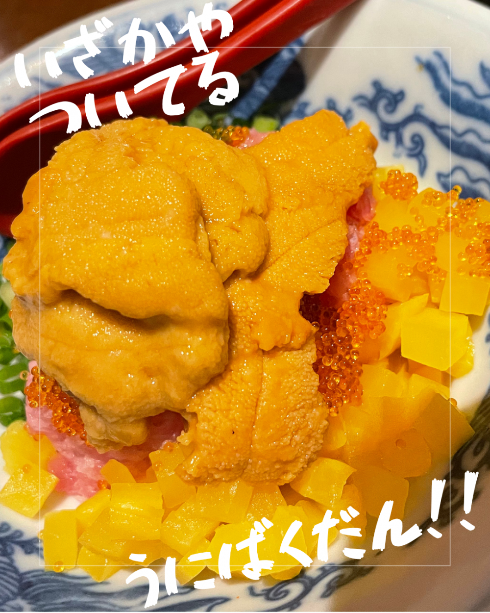 ついてる様1