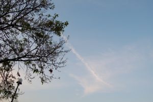 飛行機雲(1)