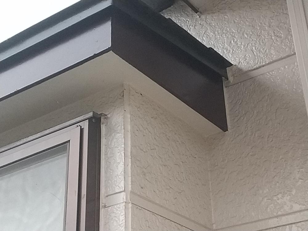 ハチの巣駆除2
