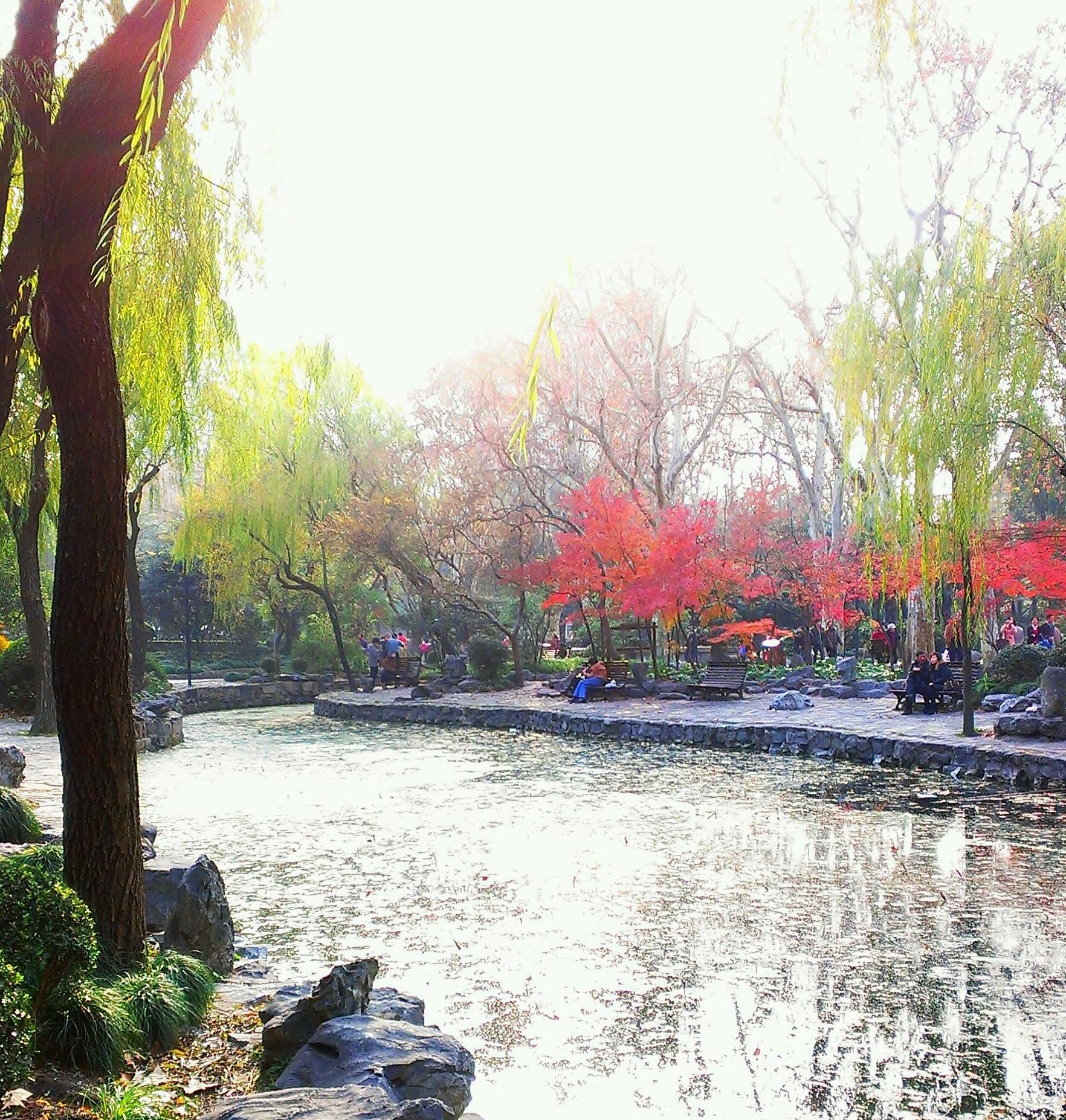 魯迅公園