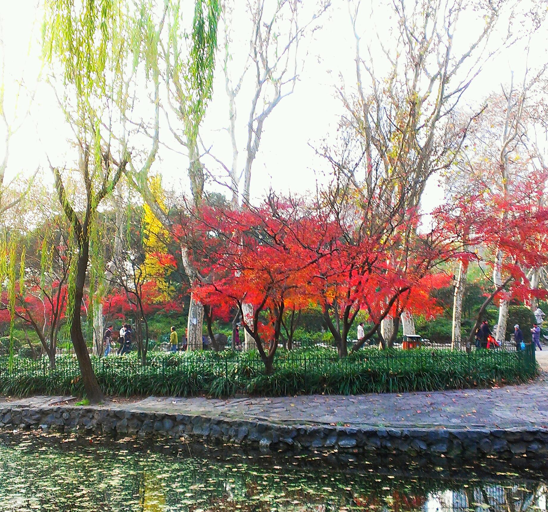 魯迅公園
