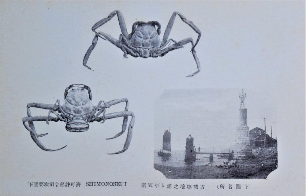 絵葉書平家蟹