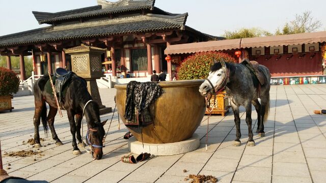 三国城の骨を休む馬