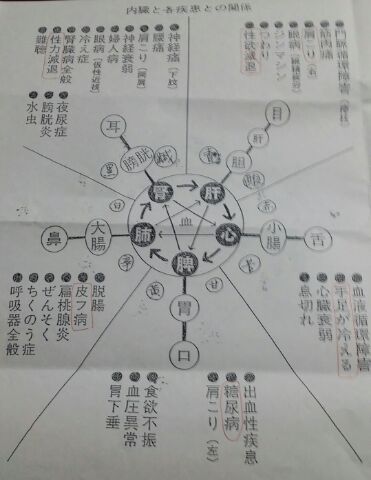 内蔵と各疾患との関係