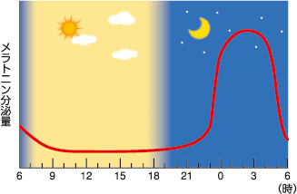 メラトニン