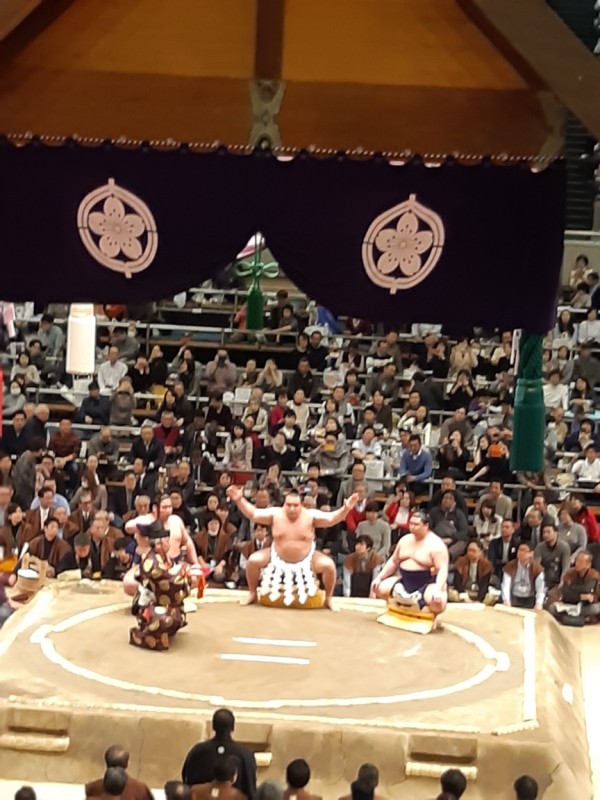大相撲 取組