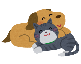 わんこ